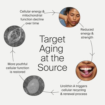 Timeline Mitopure Gummies